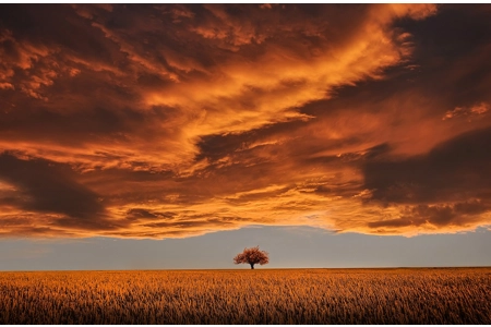 Demeter's Aether Leaf Companion