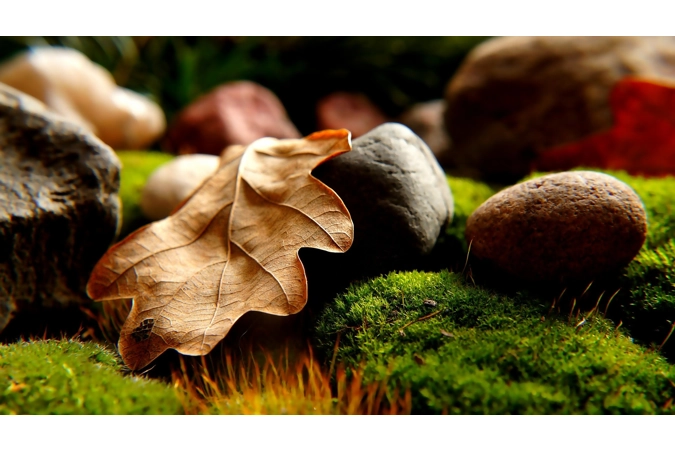 Demeter's Grounding Totem