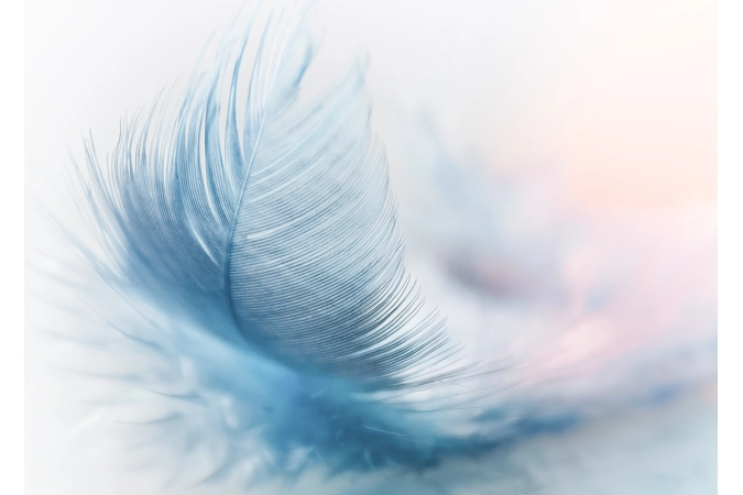 Freyja's Mark of the Valkyrie