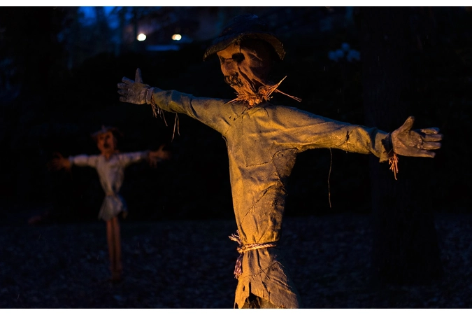 The Sinister Scarecrow