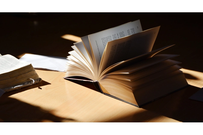 Freyja's Luminous Light Elves