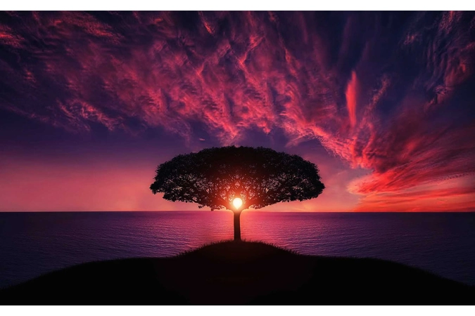 Tiamat's Sage Dragons