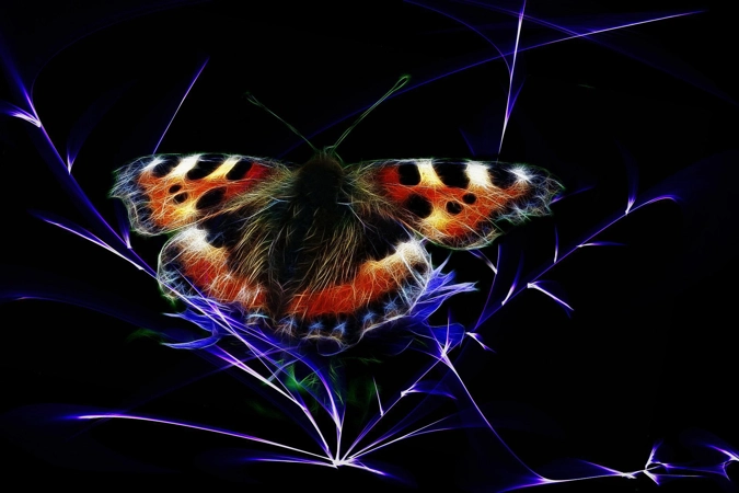 Isis' Fluttering Wisp of Energetic Pollination