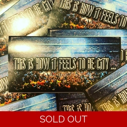 100 X This is How It Feels 10cm x 5cm Stickers