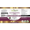 Liposomal Blushwood Berry Extract - Zen Earth