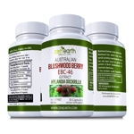 Blushwood Extract 10:1 500 mg Hylandia Dockrillii - 30 or 60 Caps Blushwood Extract 10:1 500 mg Hylandia Dockrillii - 30 or 60 Caps