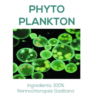 Marine Phytoplankton Nannochloropsis Gaditana Powder Organic