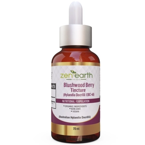 Blushwood Berry Tincture Concentr. Hylandia Dockrillii 36ml or 70ml