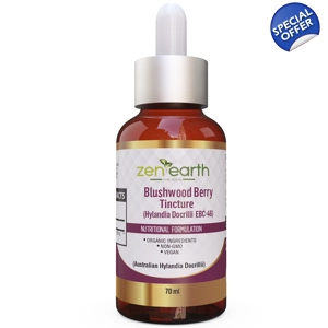 Blushwood Berry Tincture Concentr. Hylandia Dockrillii 36ml or 70ml
