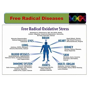 Portable Hydrogen Rich Water Maker and Ionizer PEM 2.0 PPM