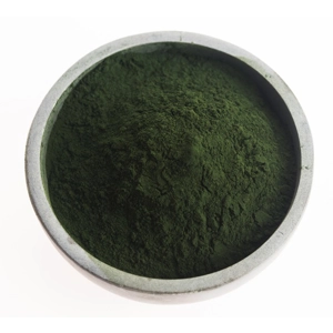 Marine Phytoplankton Nannochloropsis Gaditana Powder Organic