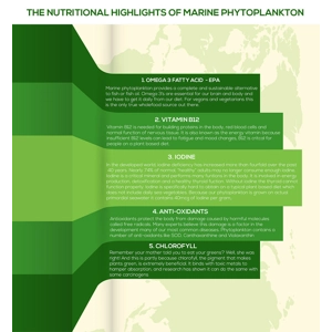 Marine Phytoplankton Nannochloropsis Gaditana Powder Organic