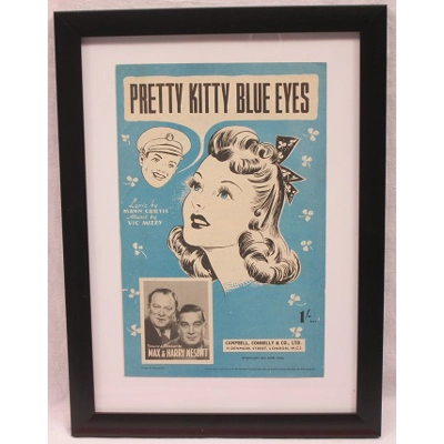 Pretty Kitty Blue Eyes