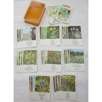 Top Quartets Series 1 - Flowers