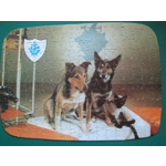 Blue Peter "Petra, Patch and Jason" Jigsaw