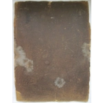 Queen Victoria Portrait Photograph