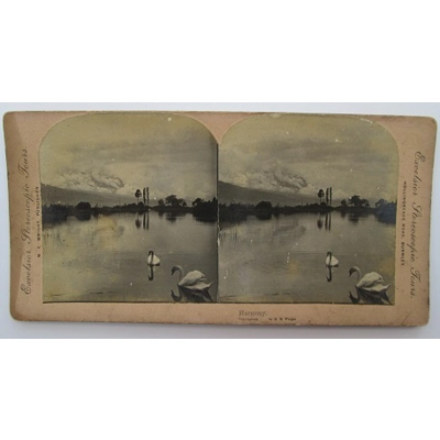 Stereograph of Harmony