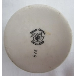 Crested China Pot With Lid - Brighton