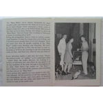 Blue Peter Book of Television