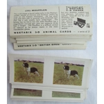 Vistascreen Weetabix 3D Viewer