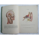 The Herbal Formulary inc Slack's Herbal and Potter's Handy Prescriber Book