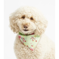 Green Vintage Bandana