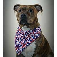Union Jack Bandana