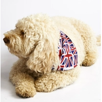 Union Jack Bandana