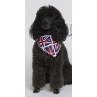 Union Jack Bandana