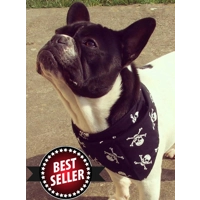 Black Skulls Dog Bandana - Essentials