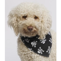 Black Skulls Dog Bandana - Essentials