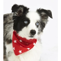 Red Star Dog Bandana - Essentials