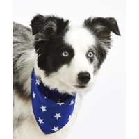 Blue Star Dog Bandana - Essentials