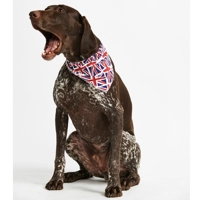 Union Jack Bandana