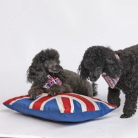 Union Jack Bandana