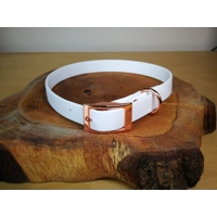 White Biothane Dog Collar