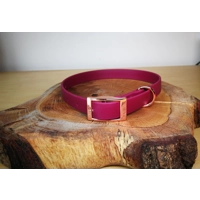 Red Wine Biothane Dog Collar  - Optional Fittings