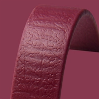 Red Wine Biothane Dog Lead