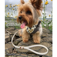 White Biothane Dog Lead 15mm Wide