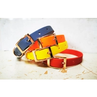 Sunflower Yellow Biothane Dog Collar