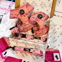 Cherry Blossom Dog Lead