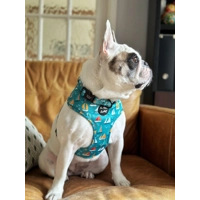 Ahoy Sea Dog HARNESS