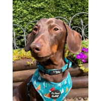 Ahoy Sea Dog HARNESS