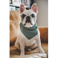 Antique Green Polka Dot Dog Bandana