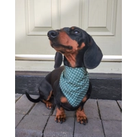 Antique Green Polka Dot Dog Bandana