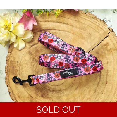 Berry Blossom Floral Dog Lead - Reversible