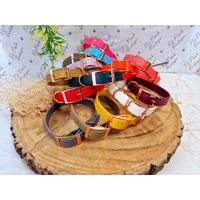 CAMEL Biothane Dog Collar