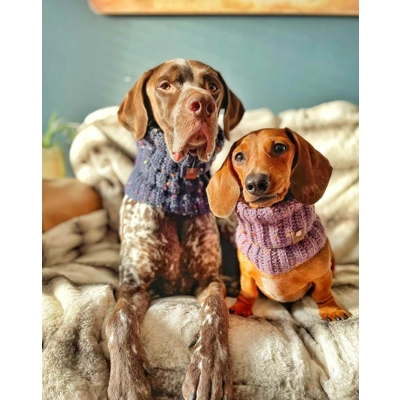 Blue Confetti Roll Top Dog Snood