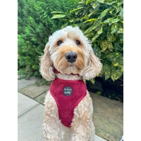 Burgundy Red Cord DOG HARNESS