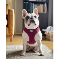 Burgundy Red Cord DOG HARNESS